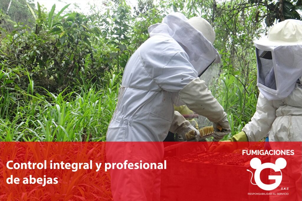 Manejo Responsable En El Control De Abejas