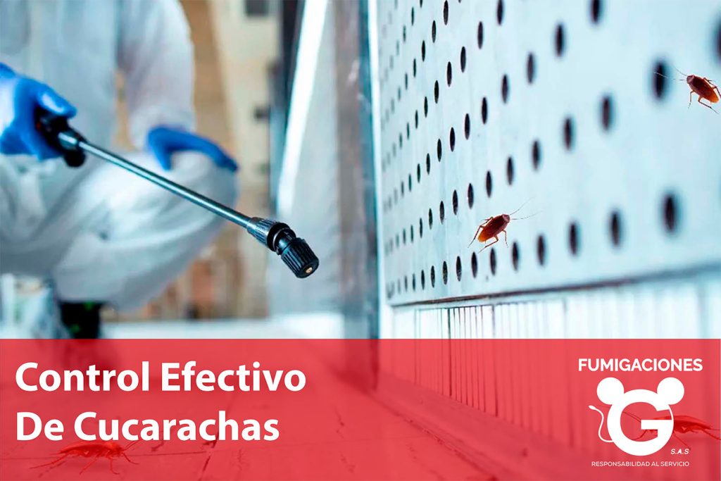 Control Efectivo De Cucarachas