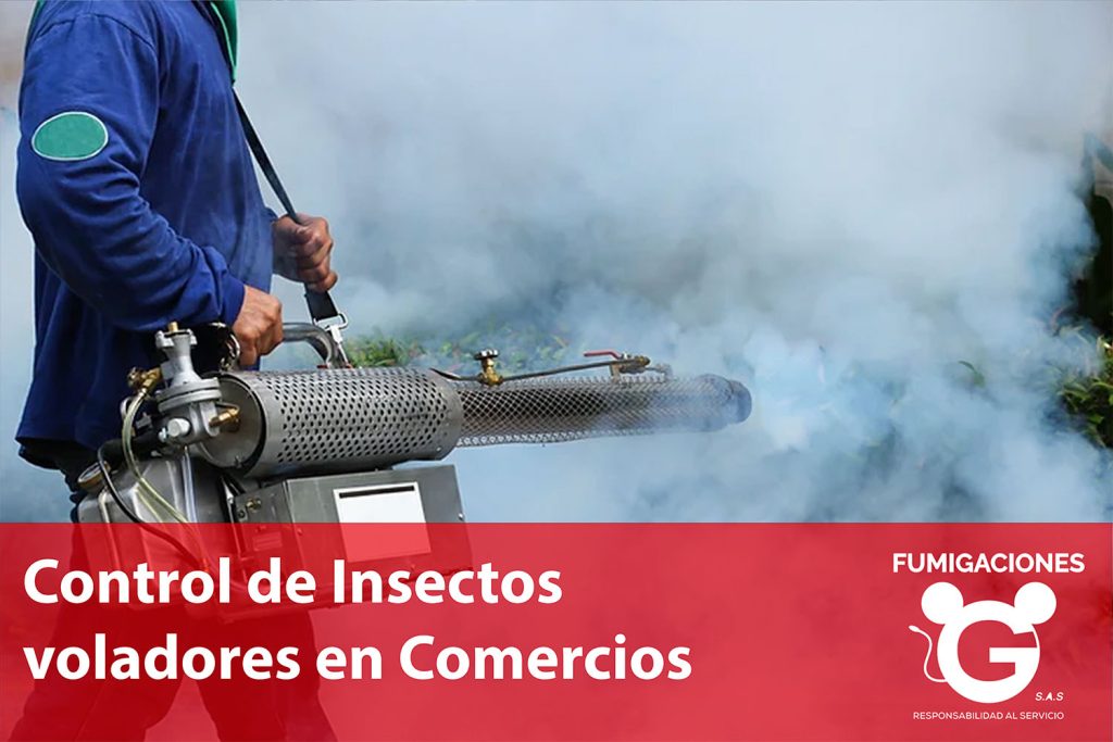 Control de Insectos voladores en Comercios: Protección Obligatoria para tu Negocio