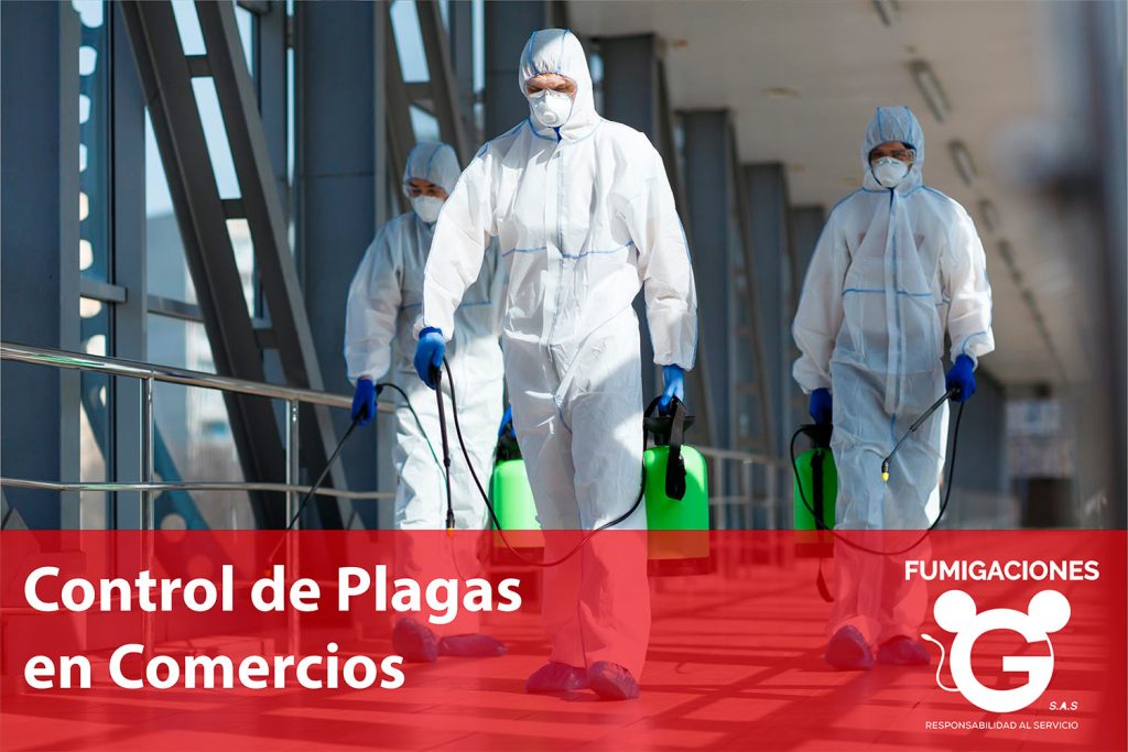 Control de Plagas en Comercios: Protección Obligatoria para tu Negocio