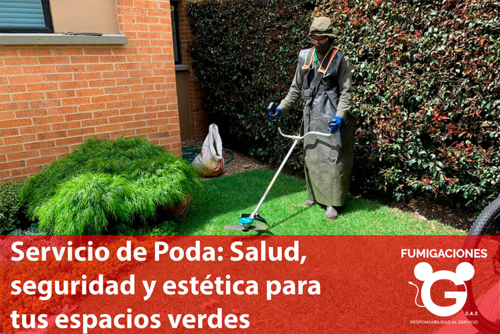 Servicio de Poda: Salud, seguridad y estética para tus espacios verdes